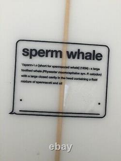 Channel islands Sperm Whale 59