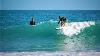 Shark Chases Florida Surfers Out Of Water
