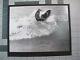 Vtg Surfing Ephemera- 1970s Surfing Photo Print Ray Allen Wsa V50 Kneeboard